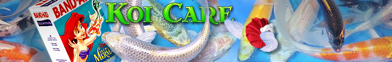 Sick and injured koi. Identification of koi parasites. Treatment of  sick or injured koi. Dealing with water quality