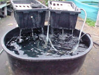 100-gallon tank has 2 home-made box filters.  Each box filter will filter 100 gallons of water each
