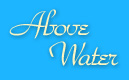 Click on icon to go to the above water camera