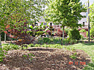 Another view from the back side of the pond that is on the other side of the trees