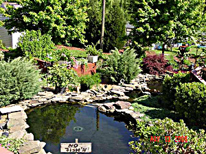 middle pond