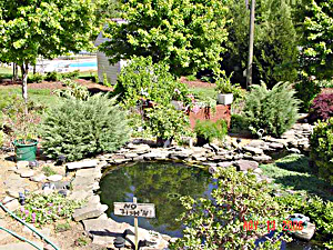 middle pond