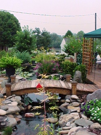 Streambed from upper to middle pond